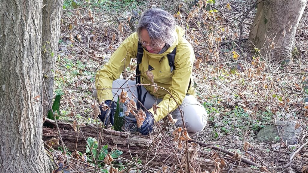 Her ser du Charlotte. Hun er i gang med at bygge sin "fremtidige ledelse". 
Vi er på VisionWalk, og Charlotte bruger de materialer hun finder i naturen til at udtrykke sig. 
Jeg kalder det "sansebaseret vandring", når vi iagttager og inddrager naturen i vores udviklingsarbejde.